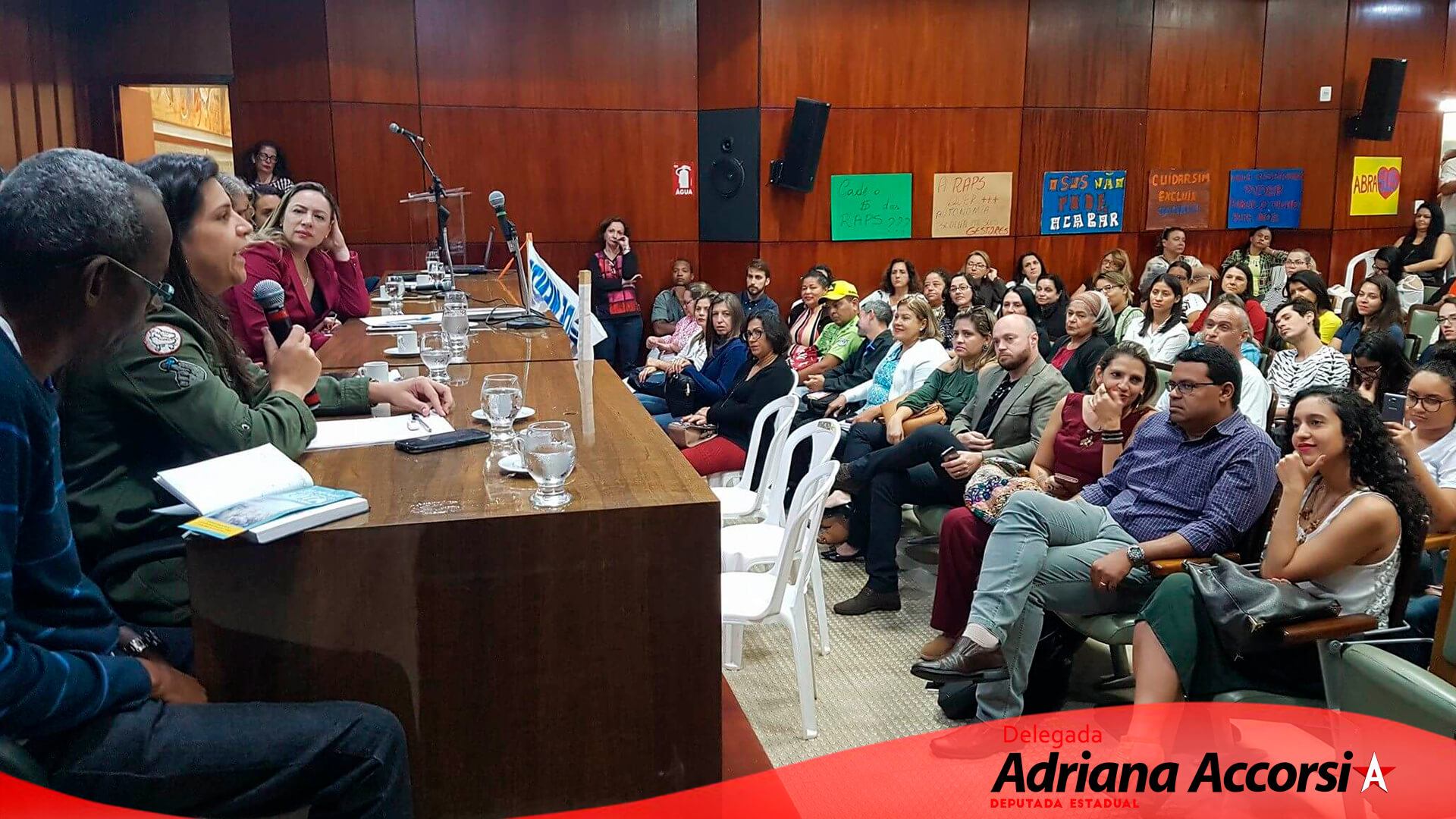 Audiência pública com o tema Fortalecimento da Rede de Atenção Psicossocial no Estado de Goiás